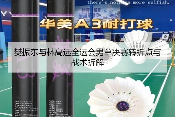 樊振东与林高远全运会男单决赛转折点与战术拆解